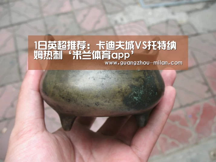 1日英超推荐:卡迪夫城VS托特纳姆热刺‘米兰体育app’(图2) 米兰体育