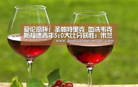 爱伦高杯: 圣帕特里克 血洗韦克斯福德青年5:0大比分获胜:米兰体育(图4) milan体育