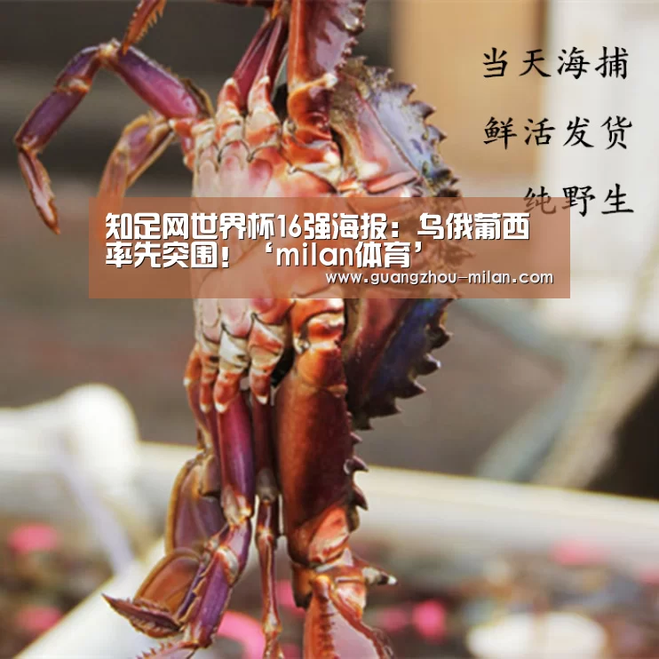 米兰体育