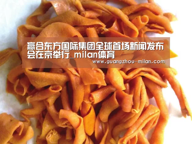 赢合东方国际集团全球首场新闻发布会在京举行_milan体育(图1) milan体育